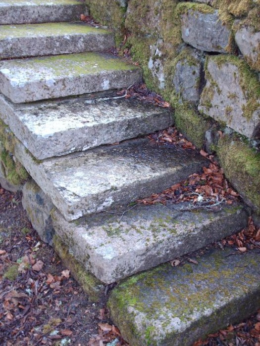 moss-on-steps